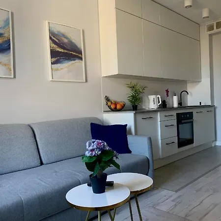 W Centrum Miasta Apartament Łódź