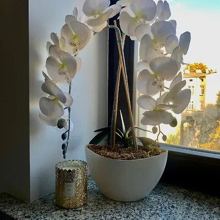 W Centrum Miasta Apartment