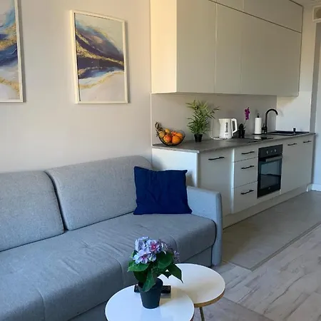 W Centrum Miasta Apartament Łódź