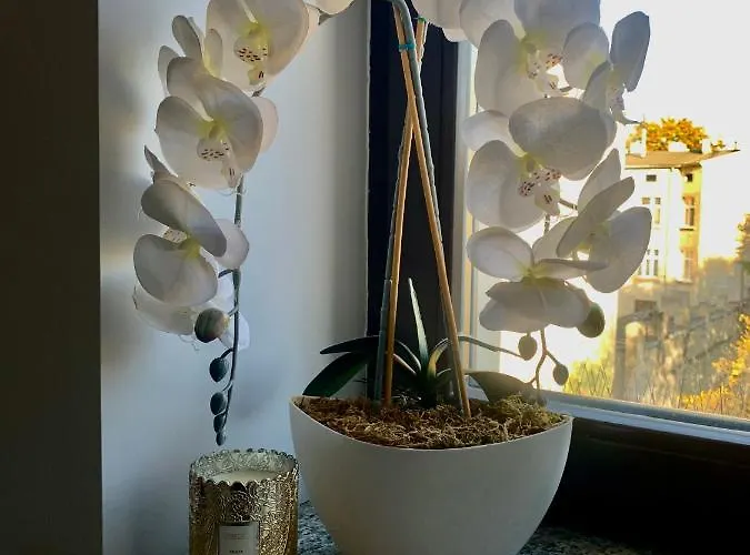 W Centrum Miasta شقة