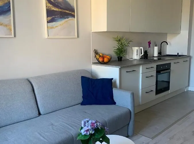 W Centrum Miasta شقة وودج